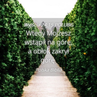 Picture 04 - Wyjścia 24:15 POLUBG - Wtedy Mojżesz wstąpił na górę, a obłok - Bible Verse Picture