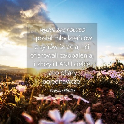 Picture 04 - Wyjścia 24:5 POLUBG - I posłał młodzieńców z synów Izraela, i ci - Bible Verse Picture