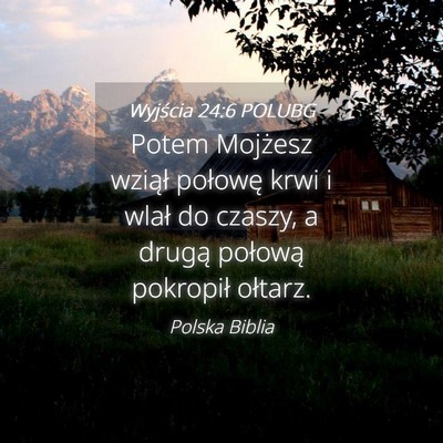 Picture 04 - Wyjścia 24:6 POLUBG - Potem Mojżesz wziął połowę krwi i wlał do - Bible Verse Picture