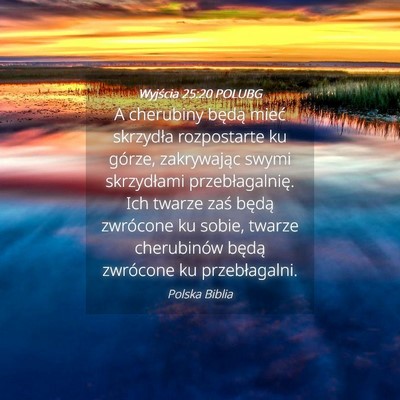 Picture 04 - Wyjścia 25:20 POLUBG - A cherubiny będą mieć skrzydła rozpostarte ku - Bible Verse Picture