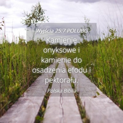 Picture 04 - Wyjścia 25:7 POLUBG - Kamienie onyksowe i kamienie do osadzenia efodu i - Bible Verse Picture