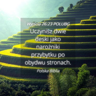 Picture 04 - Wyjścia 26:23 POLUBG - Uczynisz dwie deski jako narożniki przybytku po - Bible Verse Picture