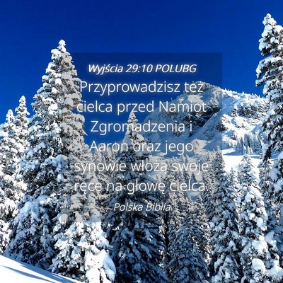 Picture 04 - Wyjścia 29:10 POLUBG - Przyprowadzisz też cielca przed Namiot - Bible Verse Picture