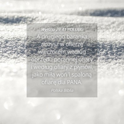 Picture 04 - Wyjścia 29:41 POLUBG - A drugiego baranka złożysz w ofierze wieczorem - Bible Verse Picture
