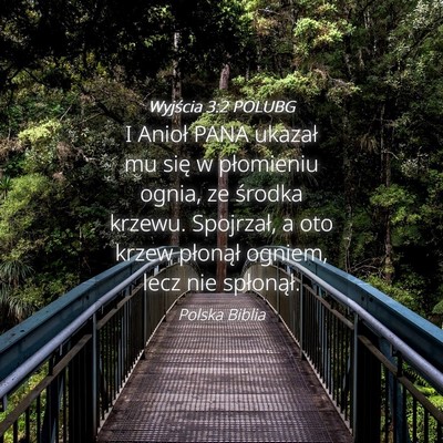 Picture 04 - Wyjścia 3:2 POLUBG - I Anioł PANA ukazał mu się w płomieniu ognia, - Bible Verse Picture