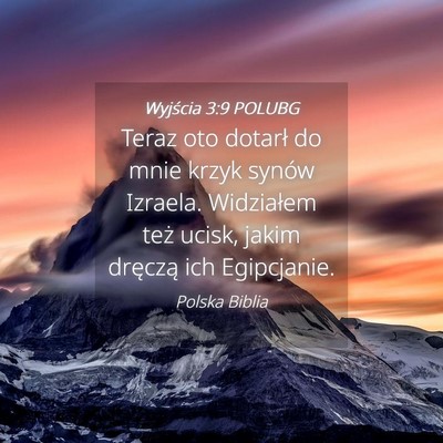 Picture 04 - Wyjścia 3:9 POLUBG - Teraz oto dotarł do mnie krzyk synów Izraela. - Bible Verse Picture
