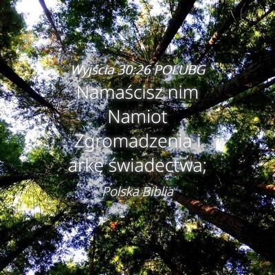 Picture 04 - Wyjścia 30:26 POLUBG - Namaścisz nim Namiot Zgromadzenia i arkę - Bible Verse Picture