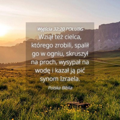 Picture 04 - Wyjścia 32:20 POLUBG - Wziął też cielca, którego zrobili, spalił go - Bible Verse Picture