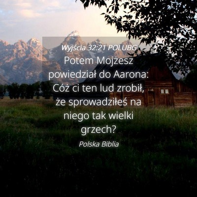 Picture 04 - Wyjścia 32:21 POLUBG - Potem Mojżesz powiedział do Aarona: Cóż ci - Bible Verse Picture