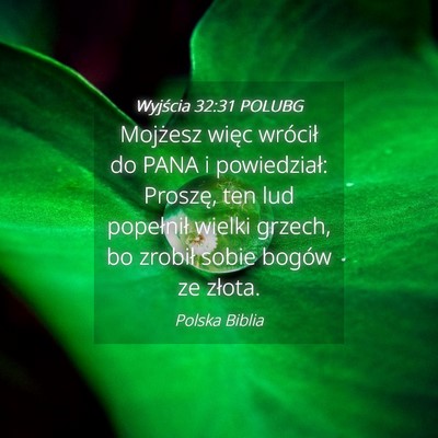Picture 04 - Wyjścia 32:31 POLUBG - Mojżesz więc wrócił do PANA i powiedział: - Bible Verse Picture