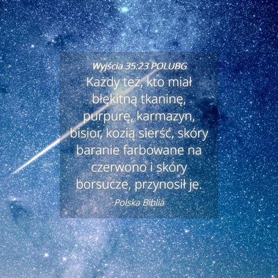 Picture 04 - Wyjścia 35:23 POLUBG - Każdy też, kto miał błękitną tkaninę, - Bible Verse Picture