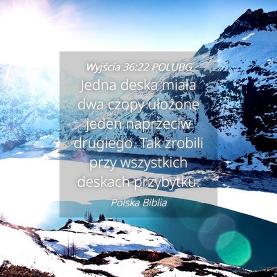 Picture 04 - Wyjścia 36:22 POLUBG - Jedna deska miała dwa czopy ułożone jeden - Bible Verse Picture