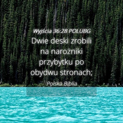 Picture 04 - Wyjścia 36:28 POLUBG - Dwie deski zrobili na narożniki przybytku po - Bible Verse Picture
