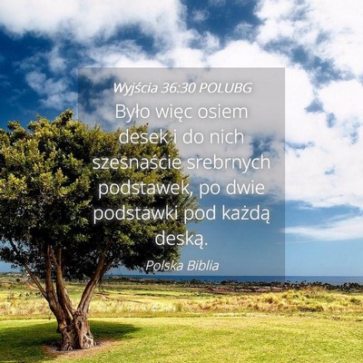 Picture 04 - Wyjścia 36:30 POLUBG - Było więc osiem desek i do nich szesnaście - Bible Verse Picture