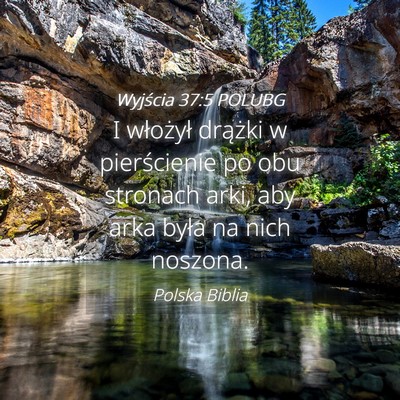 Picture 04 - Wyjścia 37:5 POLUBG - I włożył drążki w pierścienie po obu - Bible Verse Picture