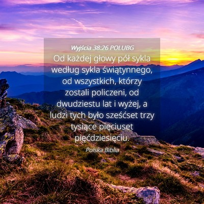 Picture 04 - Wyjścia 38:26 POLUBG - Od każdej głowy pół sykla według sykla - Bible Verse Picture