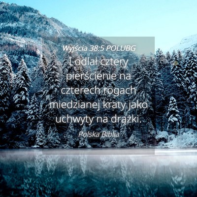 Picture 04 - Wyjścia 38:5 POLUBG - I odlał cztery pierścienie na czterech rogach - Bible Verse Picture