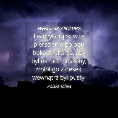 Picture 04 - Wyjścia 38:7 POLUBG - I włożył drążki w te pierścienie po obu - Bible Verse Picture