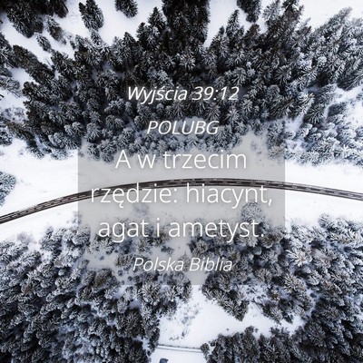 Picture 04 - Wyjścia 39:12 POLUBG - A w trzecim rzędzie: hiacynt, agat i - Bible Verse Picture
