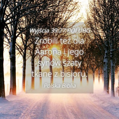 Picture 04 - Wyjścia 39:27 POLUBG - Zrobili też dla Aarona i jego synów szaty tkane - Bible Verse Picture