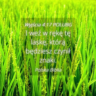 Picture 04 - Wyjścia 4:17 POLUBG - I weź w rękę tę laskę, którą będziesz - Bible Verse Picture