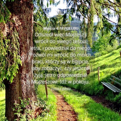 Picture 04 - Wyjścia 4:18 POLUBG - Odszedł więc Mojżesz i wrócił do swego - Bible Verse Picture