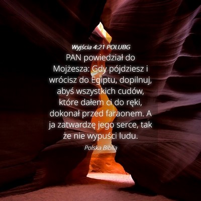 Picture 04 - Wyjścia 4:21 POLUBG - PAN powiedział do Mojżesza: Gdy pójdziesz i - Bible Verse Picture