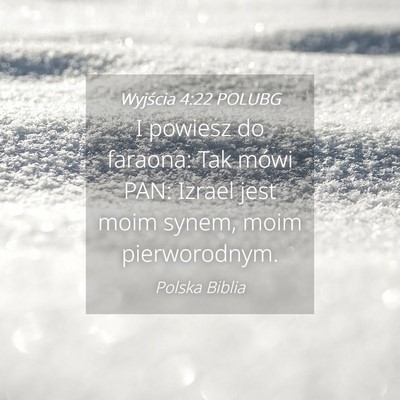 Picture 04 - Wyjścia 4:22 POLUBG - I powiesz do faraona: Tak mówi PAN: Izrael jest - Bible Verse Picture