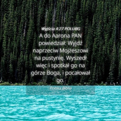 Picture 04 - Wyjścia 4:27 POLUBG - A do Aarona PAN powiedział: Wyjdź naprzeciw - Bible Verse Picture