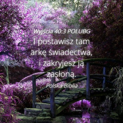 Picture 04 - Wyjścia 40:3 POLUBG - I postawisz tam arkę świadectwa, i zakryjesz - Bible Verse Picture