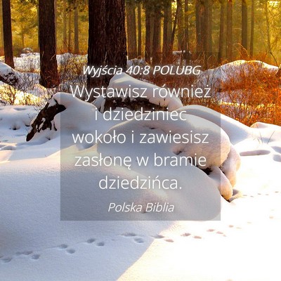 Picture 04 - Wyjścia 40:8 POLUBG - Wystawisz również i dziedziniec wokoło i - Bible Verse Picture
