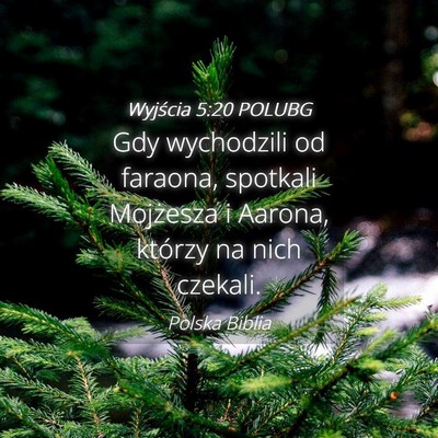 Picture 04 - Wyjścia 5:20 POLUBG - Gdy wychodzili od faraona, spotkali Mojżesza i - Bible Verse Picture
