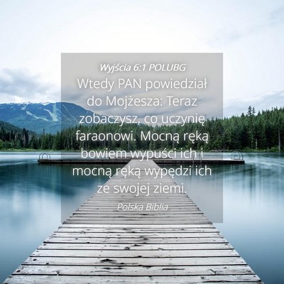 Picture 04 - Wyjścia 6:1 POLUBG - Wtedy PAN powiedział do Mojżesza: Teraz - Bible Verse Picture