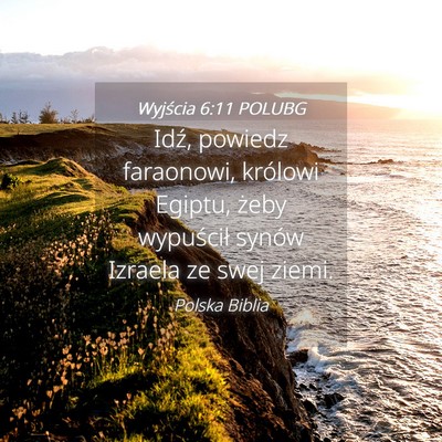 Picture 04 - Wyjścia 6:11 POLUBG - Idź, powiedz faraonowi, królowi Egiptu, żeby - Bible Verse Picture