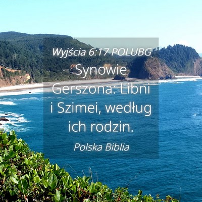 Picture 04 - Wyjścia 6:17 POLUBG - Synowie Gerszona: Libni i Szimei, według ich - Bible Verse Picture