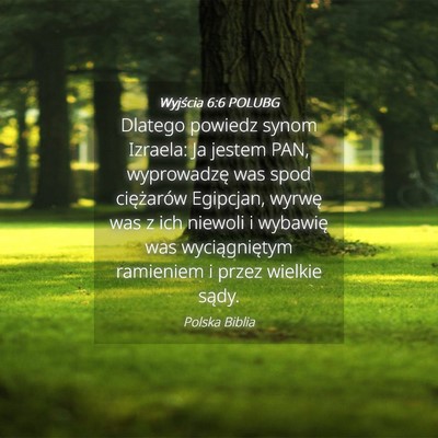 Picture 04 - Wyjścia 6:6 POLUBG - Dlatego powiedz synom Izraela: Ja jestem PAN, - Bible Verse Picture