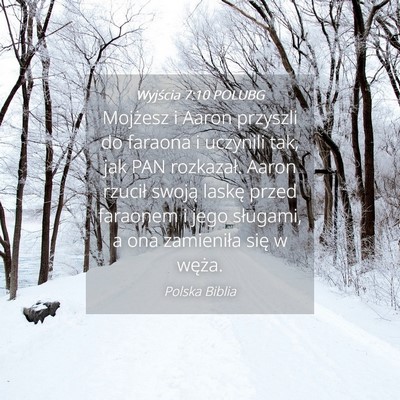 Picture 04 - Wyjścia 7:10 POLUBG - Mojżesz i Aaron przyszli do faraona i uczynili - Bible Verse Picture