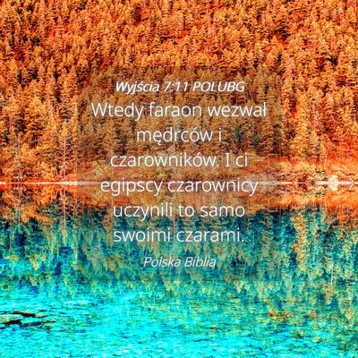 Picture 04 - Wyjścia 7:11 POLUBG - Wtedy faraon wezwał mędrców i czarowników. I - Bible Verse Picture