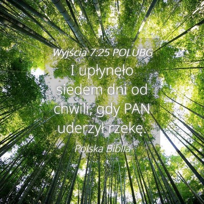 Picture 04 - Wyjścia 7:25 POLUBG - I upłynęło siedem dni od chwili, gdy PAN - Bible Verse Picture