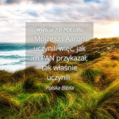 Picture 04 - Wyjścia 7:6 POLUBG - Mojżesz i Aaron uczynili więc, jak im PAN - Bible Verse Picture