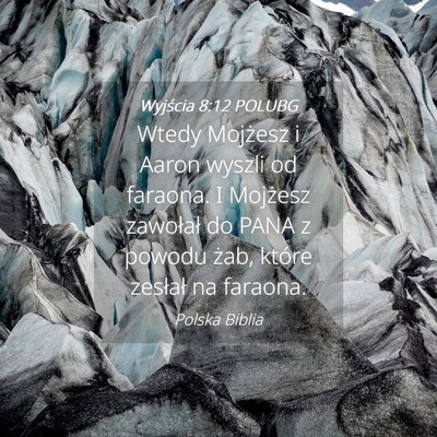 Picture 04 - Wyjścia 8:12 POLUBG - Wtedy Mojżesz i Aaron wyszli od faraona. I - Bible Verse Picture