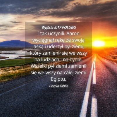 Picture 04 - Wyjścia 8:17 POLUBG - I tak uczynili. Aaron wyciągnął rękę ze - Bible Verse Picture
