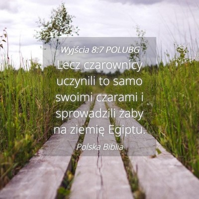 Picture 04 - Wyjścia 8:7 POLUBG - Lecz czarownicy uczynili to samo swoimi czarami i - Bible Verse Picture