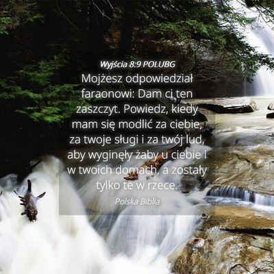 Picture 04 - Wyjścia 8:9 POLUBG - Mojżesz odpowiedział faraonowi: Dam ci ten - Bible Verse Picture
