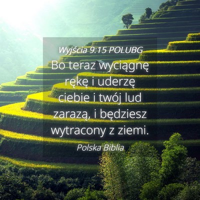 Picture 04 - Wyjścia 9:15 POLUBG - Bo teraz wyciągnę rękę i uderzę ciebie i - Bible Verse Picture