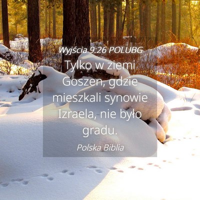 Picture 04 - Wyjścia 9:26 POLUBG - Tylko w ziemi Goszen, gdzie mieszkali synowie - Bible Verse Picture
