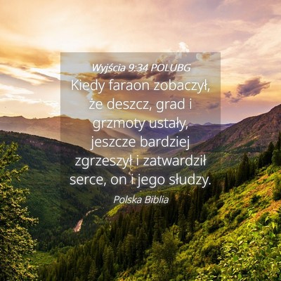 Picture 04 - Wyjścia 9:34 POLUBG - Kiedy faraon zobaczył, że deszcz, grad i - Bible Verse Picture