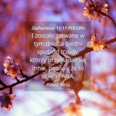 Picture 04 - Zachariasza 11:11 POLUBG - I zostało zerwane w tym dniu, a biedni spośród - Bible Verse Picture