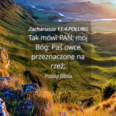 Picture 04 - Zachariasza 11:4 POLUBG - Tak mówi PAN, mój Bóg: Paś owce przeznaczone - Bible Verse Picture