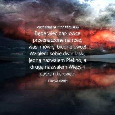 Picture 04 - Zachariasza 11:7 POLUBG - Będę więc pasł owce przeznaczone na rzeź, - Bible Verse Picture